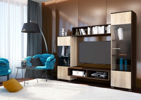 Гостиная Рио Дуб Кантерберри-Сонома (Ш-2000 х В-1642 х Г-446 мм)